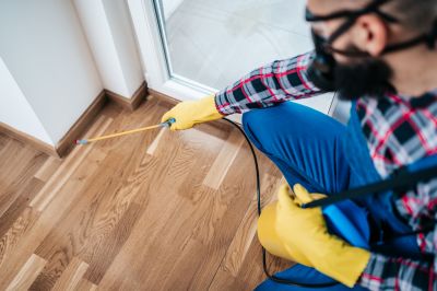 Hobo Spider Extermination in Fort Worth, TX
